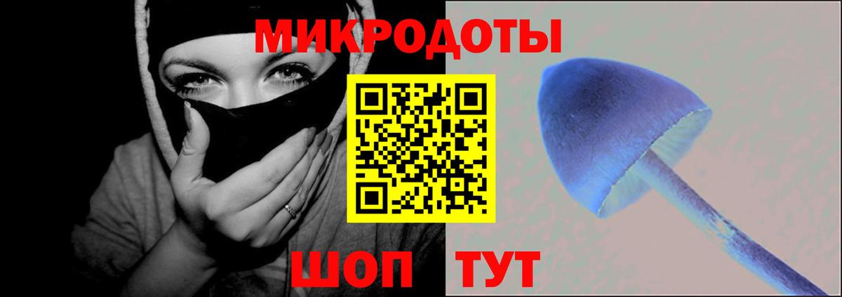 Кировск  Псилоцибиновые грибы Psilocybe  Вход с VPN 
